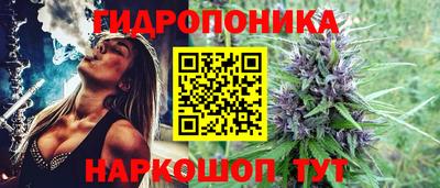 мяу мяу мука Нягань