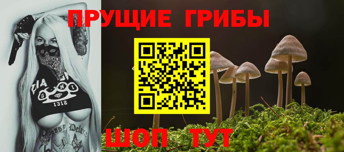 Псилоцибиновые грибы Cubensis  Галлюциногенные грибы Psilocybine cubensis  Вход с VPN  Ялуторовск 