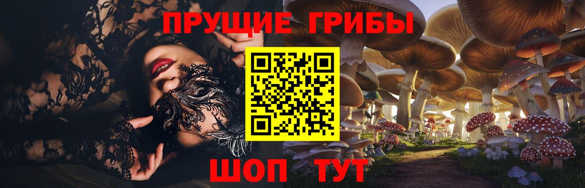Псилоцибиновые грибы GOLDEN TEACHER Ялуторовск