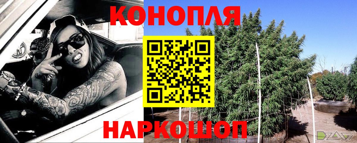 Бошки марихуана план  Бошки Шишки VHQ  Вход с VPN  Ялуторовск 